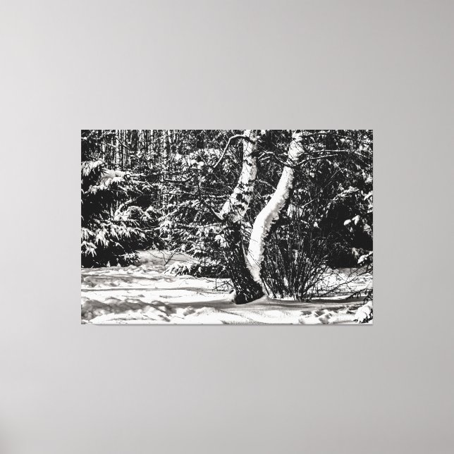 Winterwald, Schnee, Birken und Waldbäume Leinwanddruck (Vorderseite)