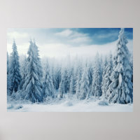 Winterwald Serene Landschaft Surreal