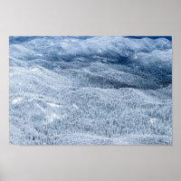 Winterwald unter Schnee