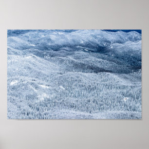 Winterwald unter Schnee Poster