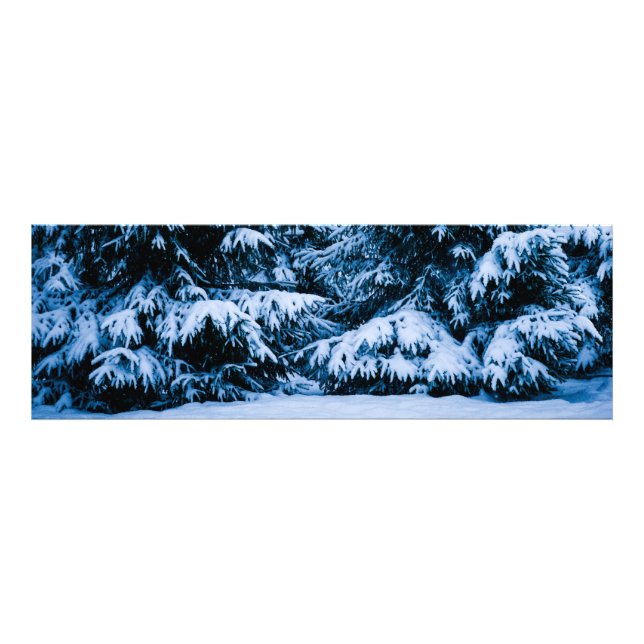 Winterwald Weihnachtsbaum Fotodruck (Vorne)