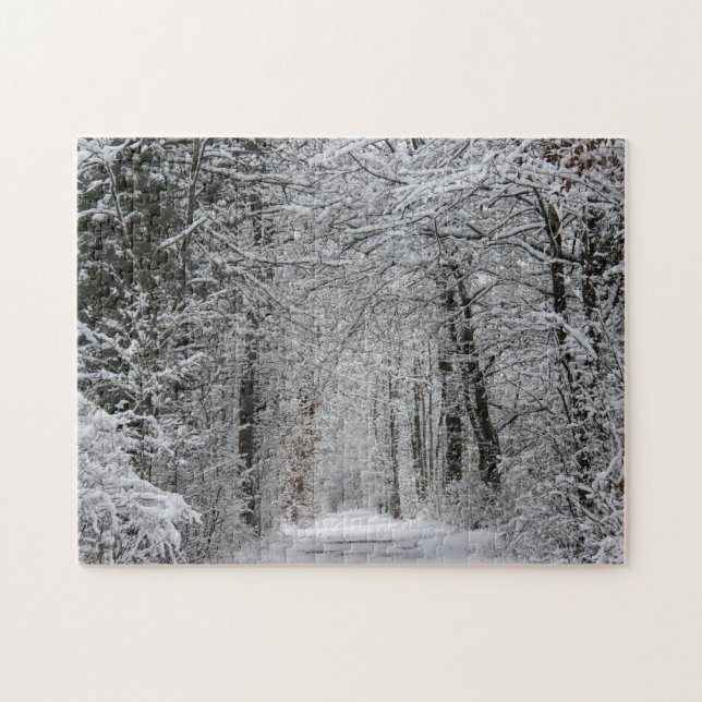 Winterwaldweg in Schnee und Natur (Horizontal)
