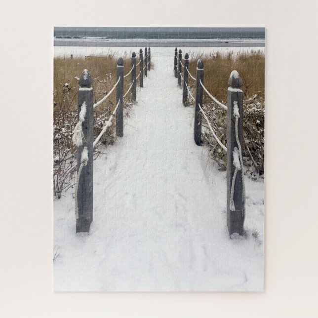Winterwanderung am Old Orchard Beach (Vertikal)
