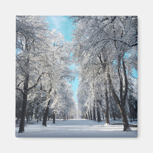 Winterwanderung im Park Magnet
