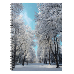 Winterwanderung im Park Notizblock
