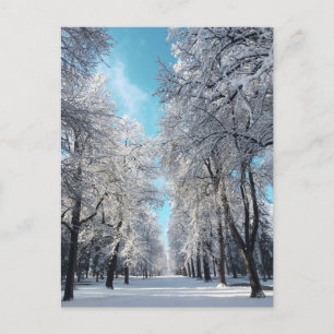 Winterwanderung im Park Postkarte