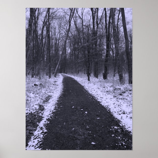 Winterwanderung Poster (Vorne)