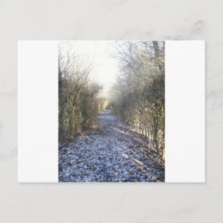 Winterwanderung Postkarte