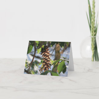 Winterwanderweg Pine Cone Note Card Dankeskarte