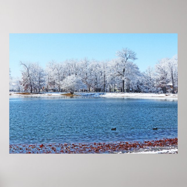 "WINTERWEISS" ÄLTERER PARK UND SEE/SCHNEE ÜBERDECK POSTER (Vorne)
