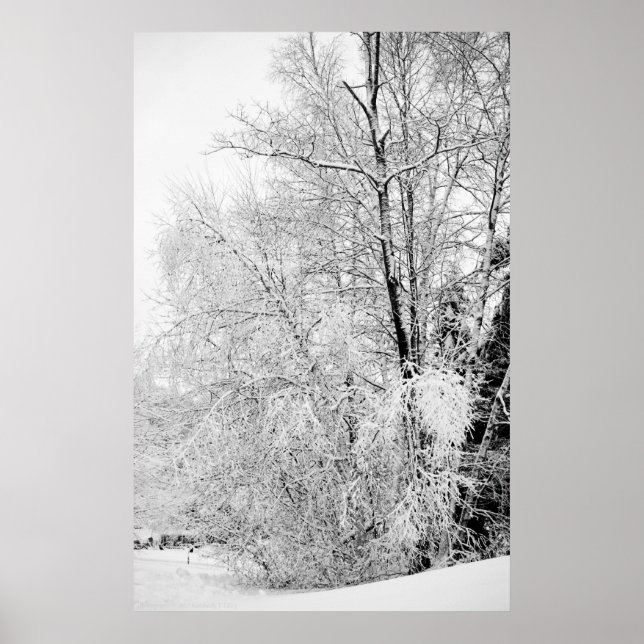 Winterweiße drucken poster (Vorne)