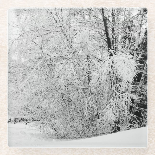 Winterweiße Glasuntersetzer (Vorderseite)