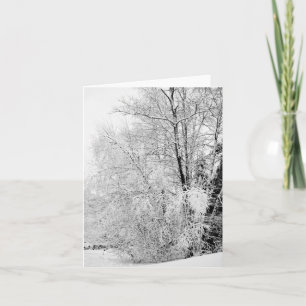 Winterweiße Karte