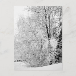 Winterweiße Postkarte