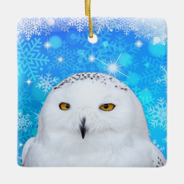 Winterweiße Schneeauwl Keramikornament (Vorderseite)
