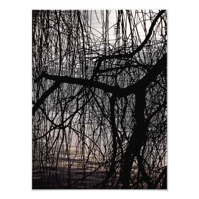 WINTERWILLOW-BAUM FOTODRUCK (Vorne)