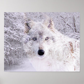 Winterwolf Poster