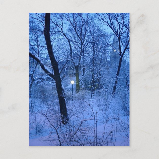 Winterwunder Land Postkarte (Vorderseite)