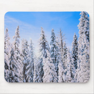 Winterwunder Pinienbäume im Schnee Mousepad