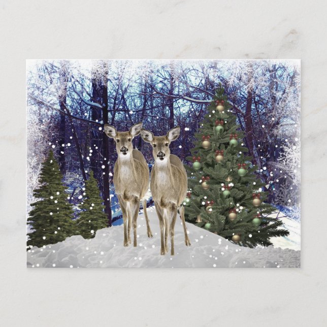 Winterwunderland Hirsch und Weihnachtsbaum Postkar Postkarte (Vorderseite)
