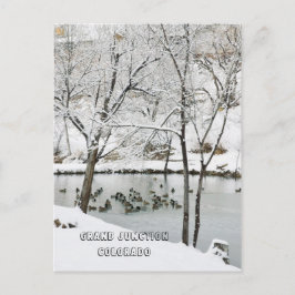 Winterwunderland im Duck Pond Park Postkarte