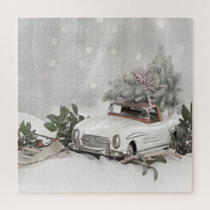 Winterwunderland, Kiefer, Auto