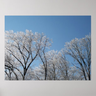 Winterwunderland mit Eisbäumen Poster