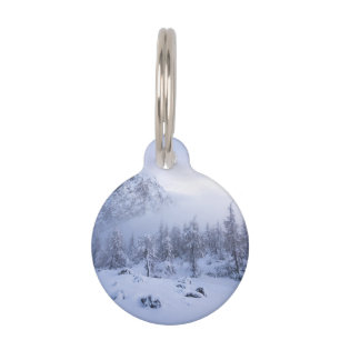 Winterwunderland, Nebel, Fichtenwald und Berge Haustiermarke