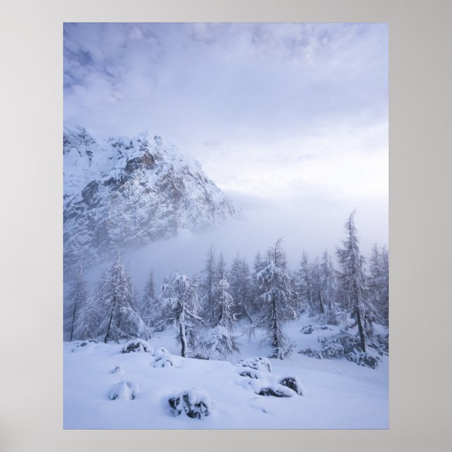 Winterwunderland, Nebel, Fichtenwald und Berge Poster (Vorne)