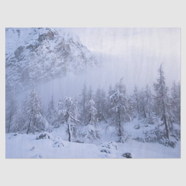 Winterwunderland, Nebel, Fichtenwald und Berge Seidenpapier (Vorderseite)