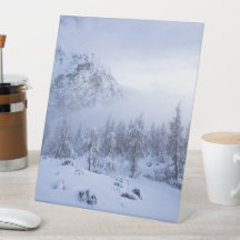 Winterwunderland, Nebel, Fichtenwald und Berge