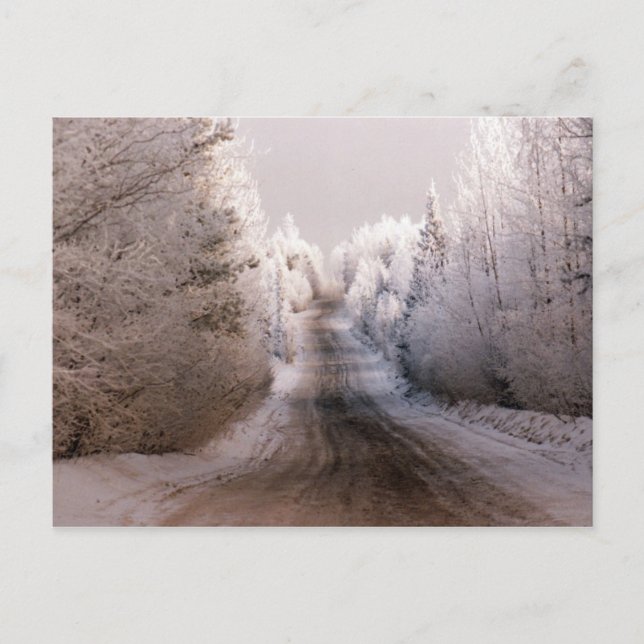 Winterwunderland - Postkarte (Vorderseite)