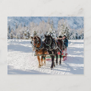 Winterwunderland Postkarte
