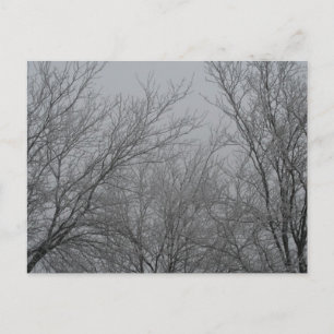 Winterwunderland Postkarte