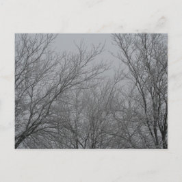 Winterwunderland Postkarte