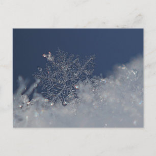 Winterwunderland Postkarte