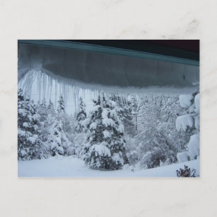 Winterwunderland Postkarte