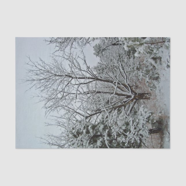 Winterwunderland Seidenpapier (Vorderseite)