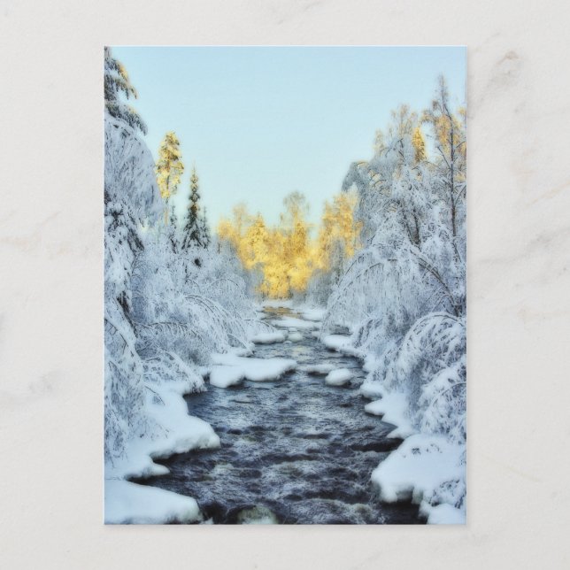 Wintery Stream Postkarte (Vorderseite)