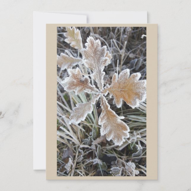  „Winterzauber – Einladung mit vereistem Blatt“ (Vorderseite)