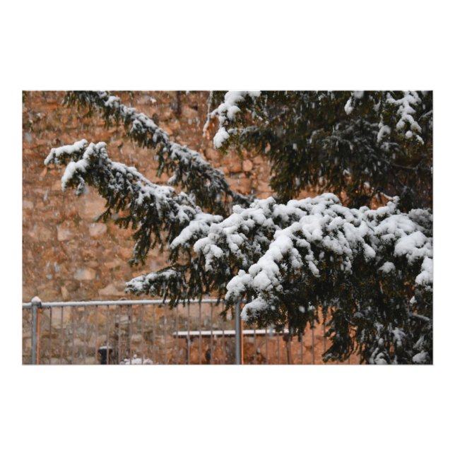 Winterzeit , Schnee auf den Bäumen Fotodruck (Vorne)