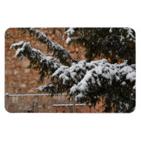 Winterzeit , Schnee auf den Bäumen