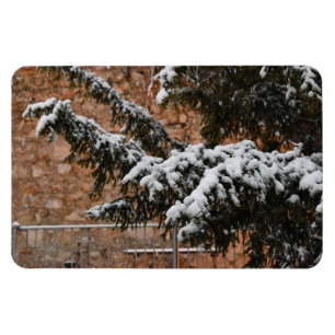 Winterzeit , Schnee auf den Bäumen Magnet