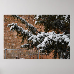 Winterzeit , Schnee auf den Bäumen Poster