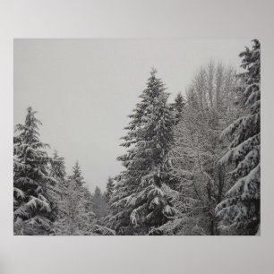 Wintry Forest Poster