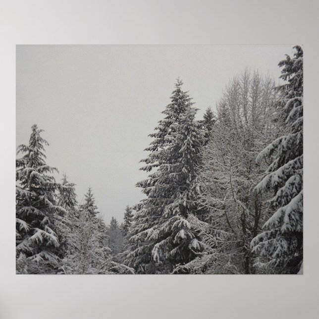 Wintry Forest Poster (Vorne)