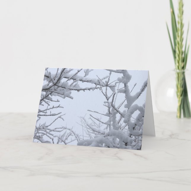 Wintry Frozen Branches Framing Sky Karte (Vorderseite)
