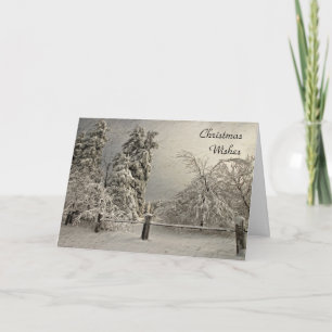 Wintry Snowy Trees - Carte de voeux et de notes