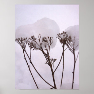 Winzer, Pflanze im Schneewertpapier Poster