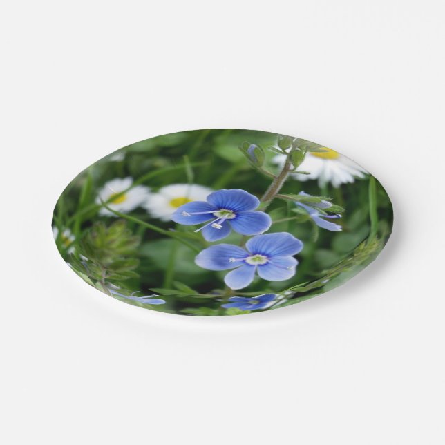 winzige blaue Blumen Pappteller (Schrägansicht)